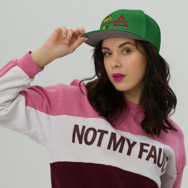 BeeHave Goods - Snapback Hat - Bold Colors - Image 2